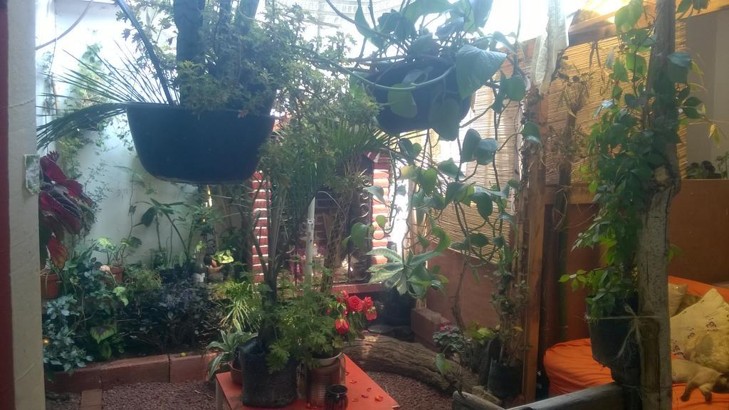 Natural Mystic Hostal Tepoztlán Eksteriør bilde