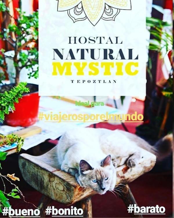 Natural Mystic Hostal Tepoztlán Eksteriør bilde